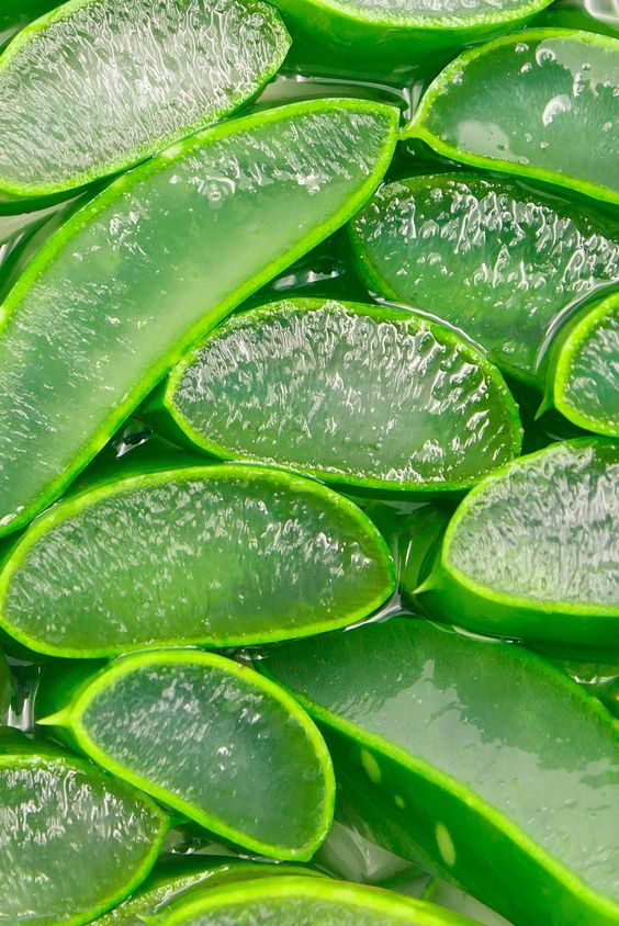 Aloe Vera Skincare Benefits