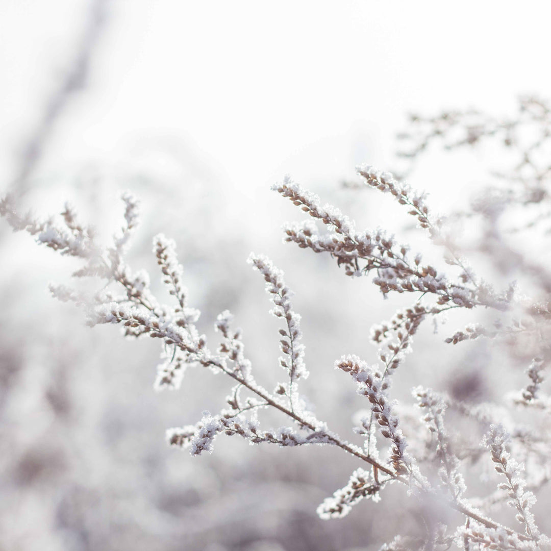 Radiant Winter Skin