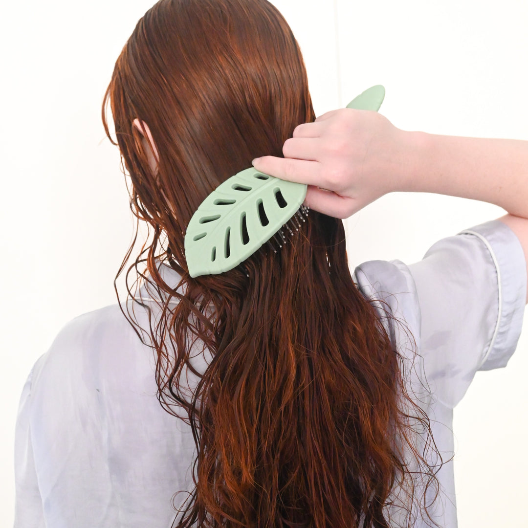 SHAMPOO, CONDITIONER &amp; HAIR BRUSH BUNDLE