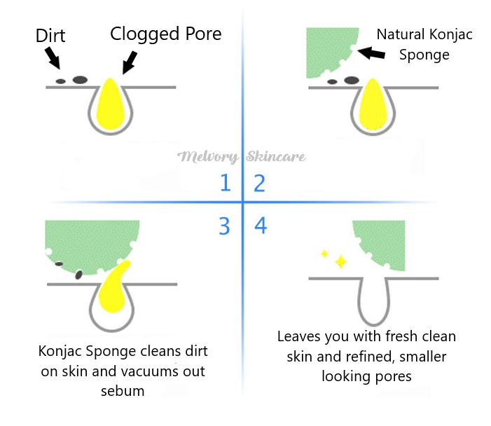 Cherry Blossom Konjac Sponge