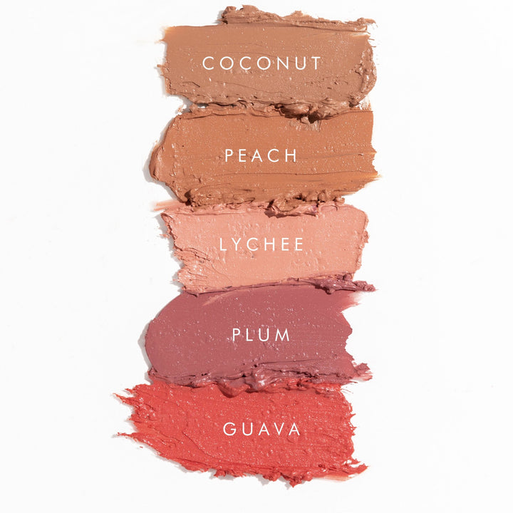 Powder Foundation &amp; Lipstick Set