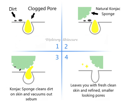 Double Cleanser & Konjac Sponge Set
